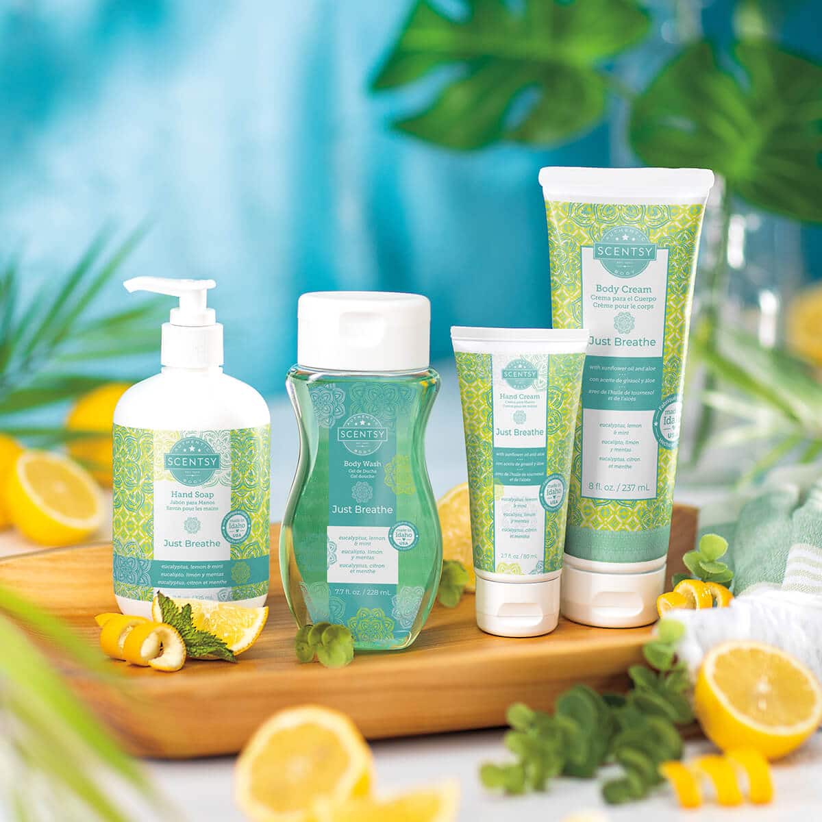 Scentsy Body
