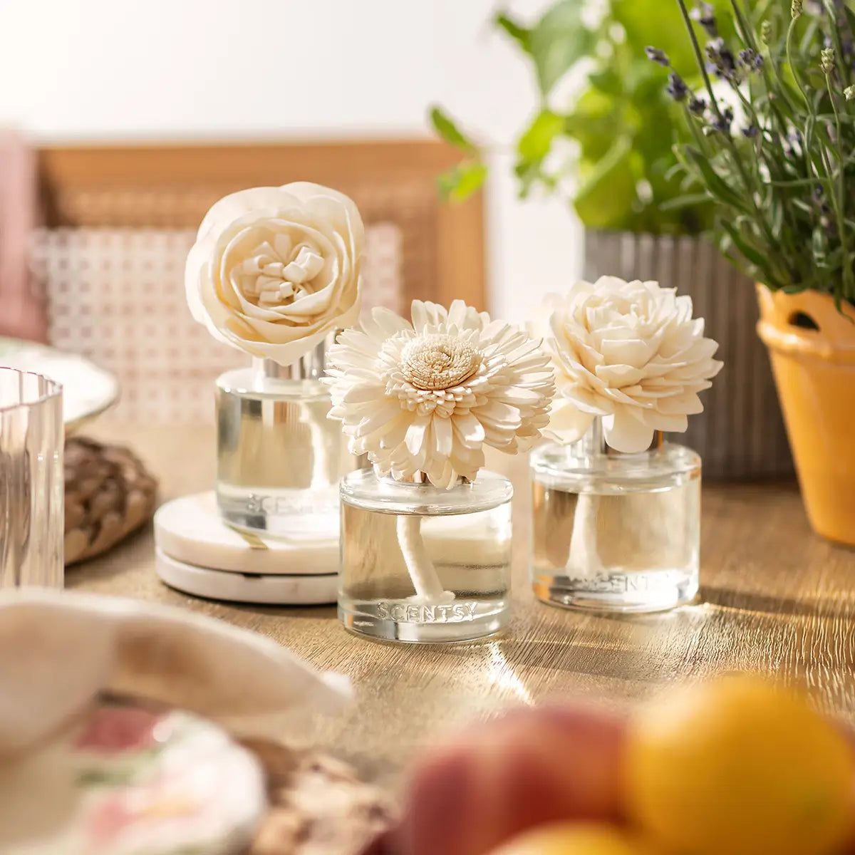 Fragrance Flowers