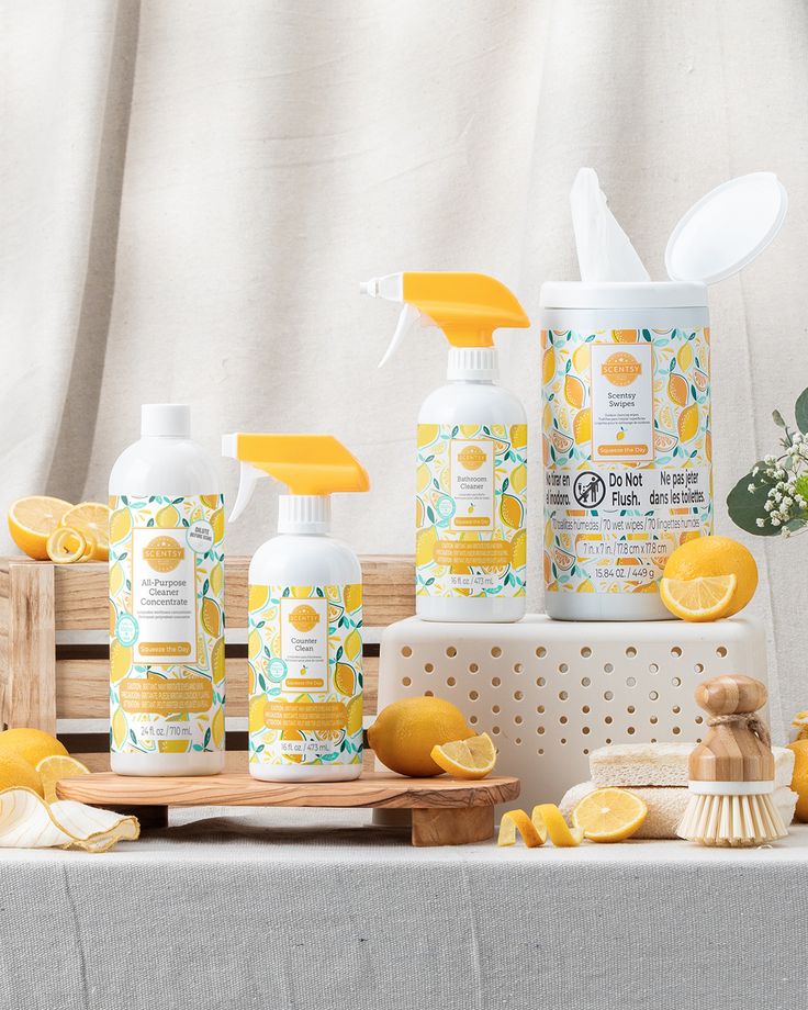 Scentsy Clean